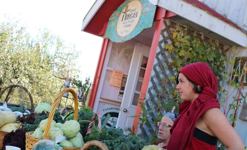 09 ~ La Ferme Morgan… et bien&nbsp;plus