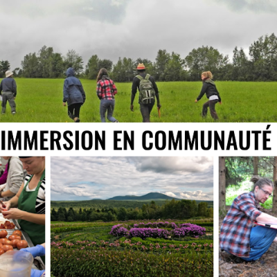 Une première pour un écovillage de 40&nbsp;ans